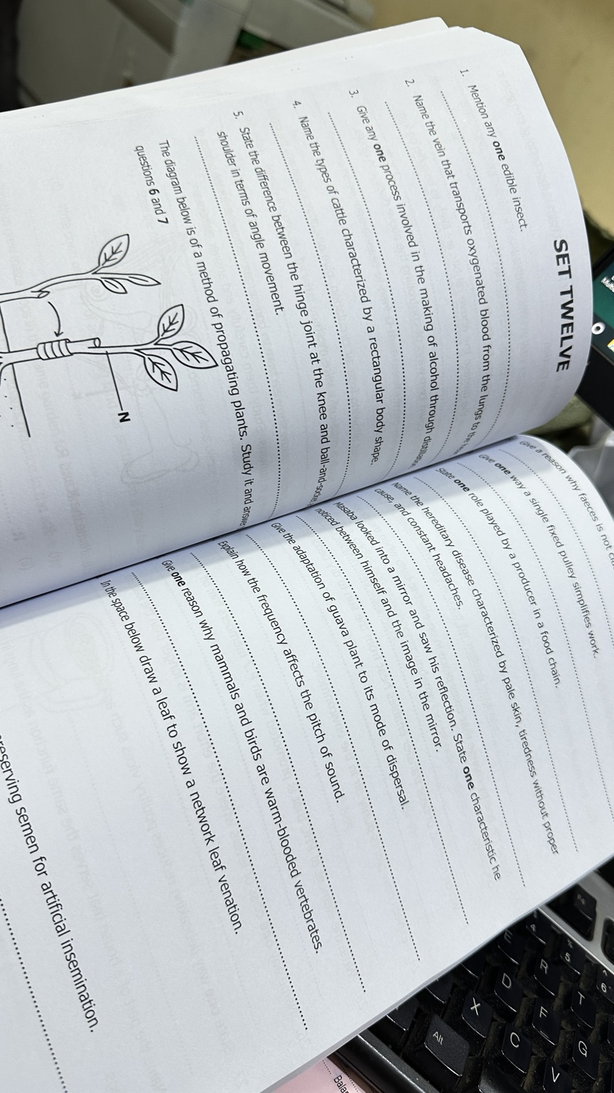 P.7 SCIENCE QUESTION BANK