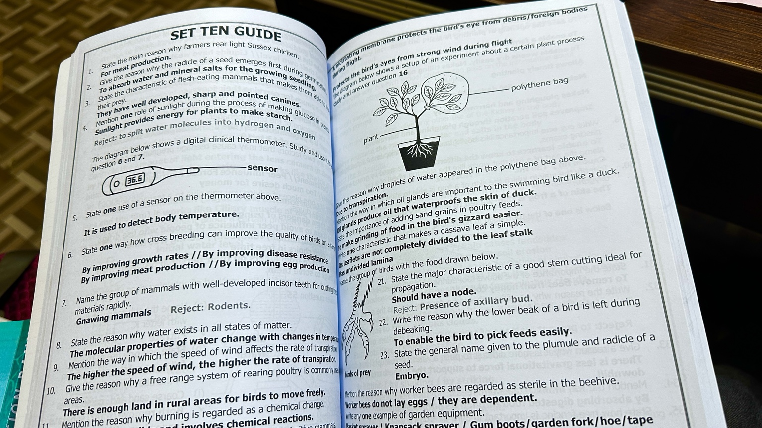 P.7 SCIENCE TEACHERS GUIDE